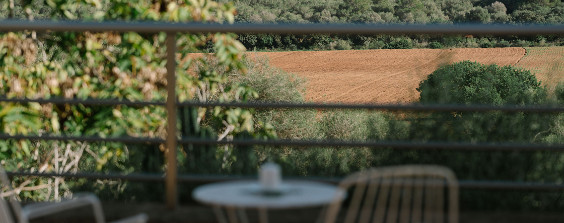 image (3)
