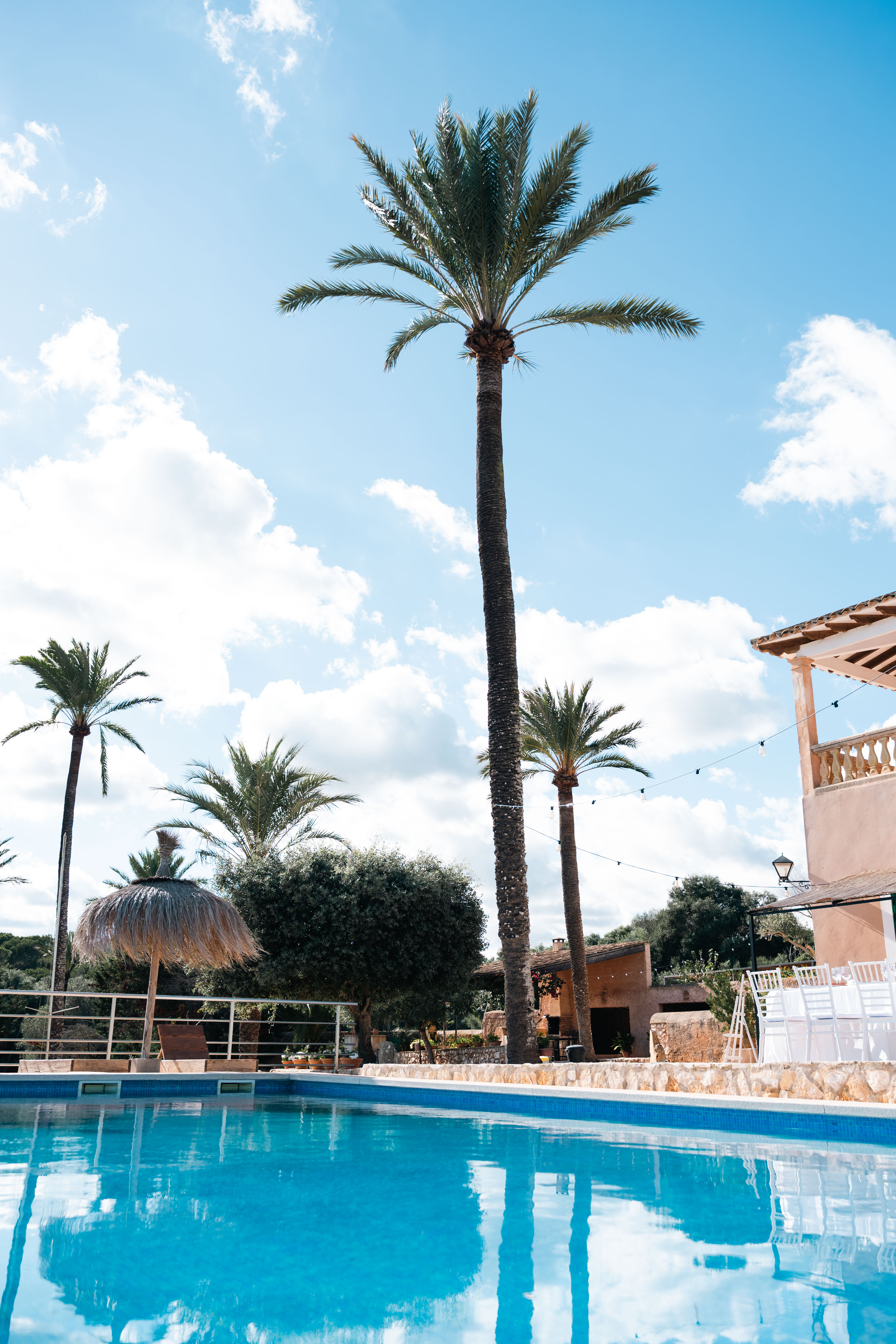 47414071 4dc5 4c67 a8a3 29d7bf509fba