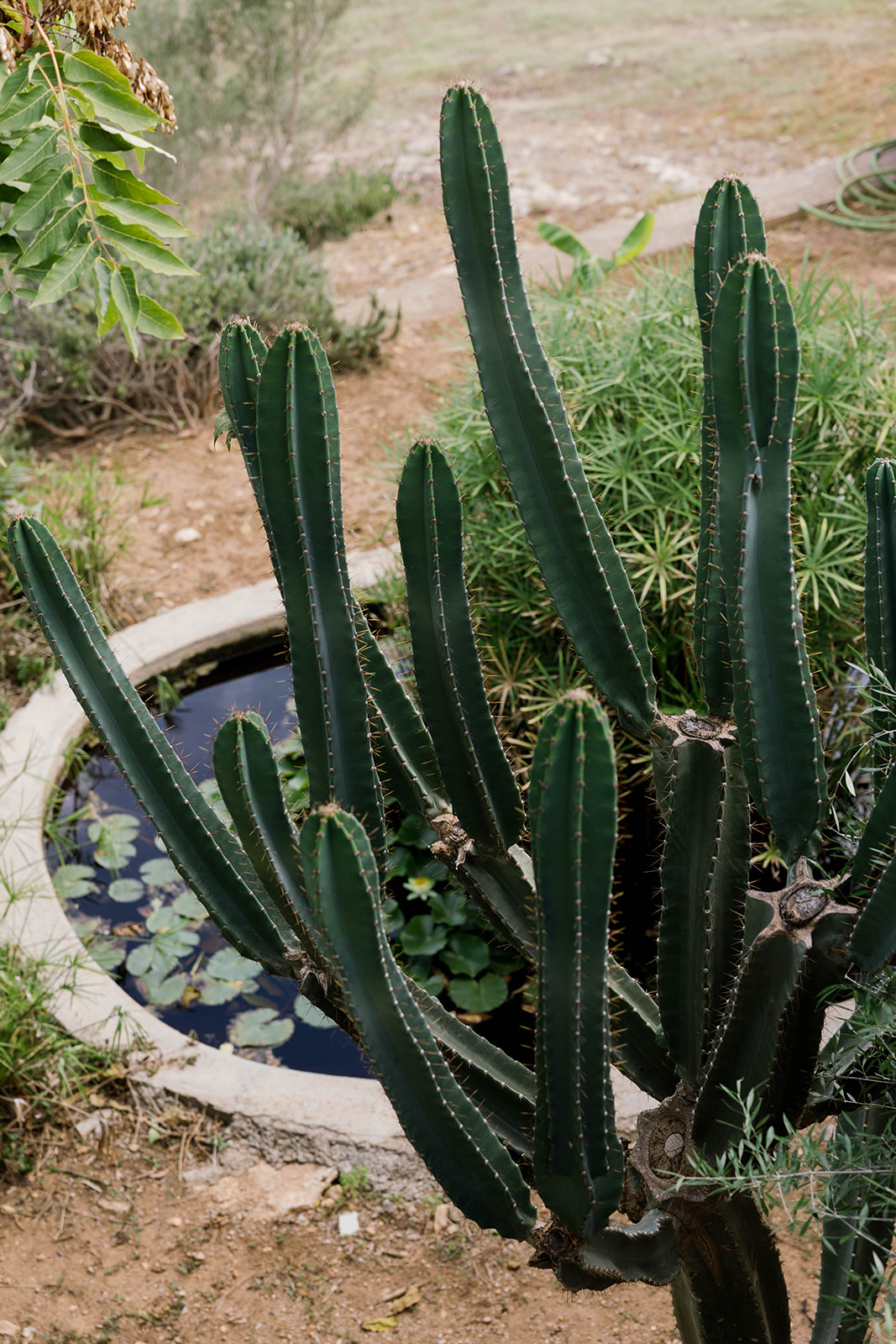 55abca86 3db1 433f 873d 7414409c6b38