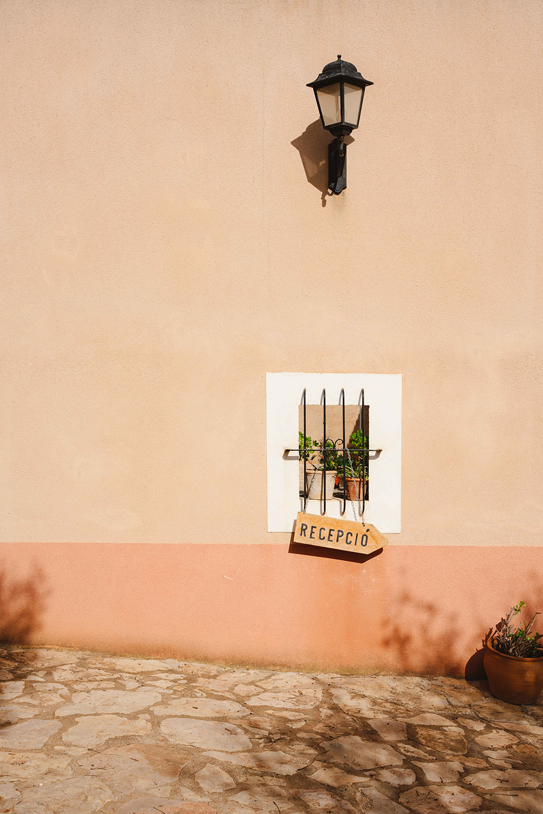 6afca2bf 62f9 4002 bba0 044de3b8248c